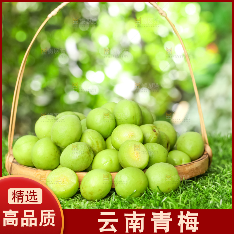 草地上放着一篮云南大理青梅