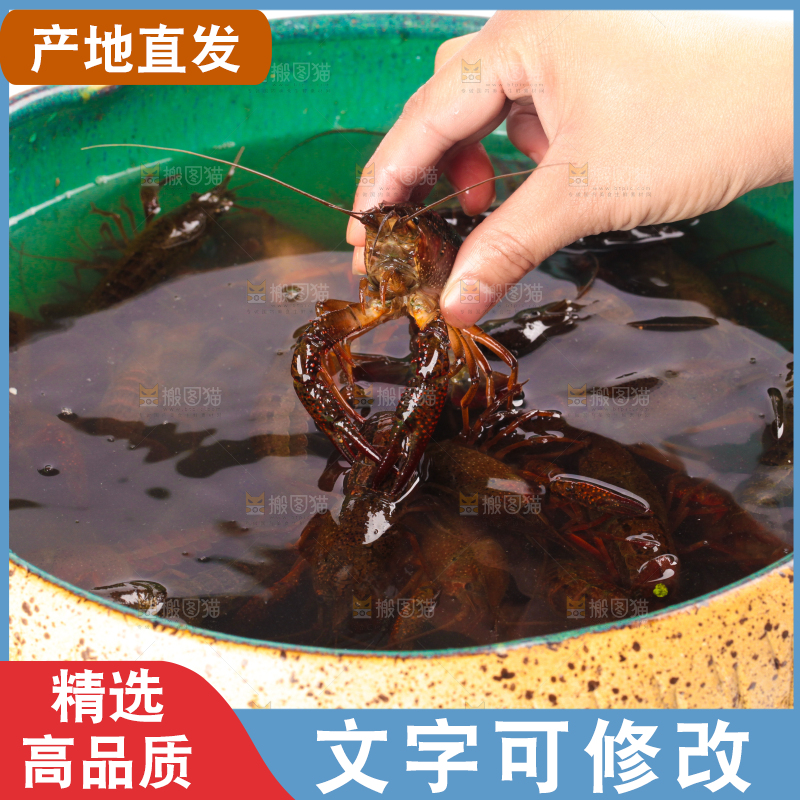 盆子里装着小龙虾