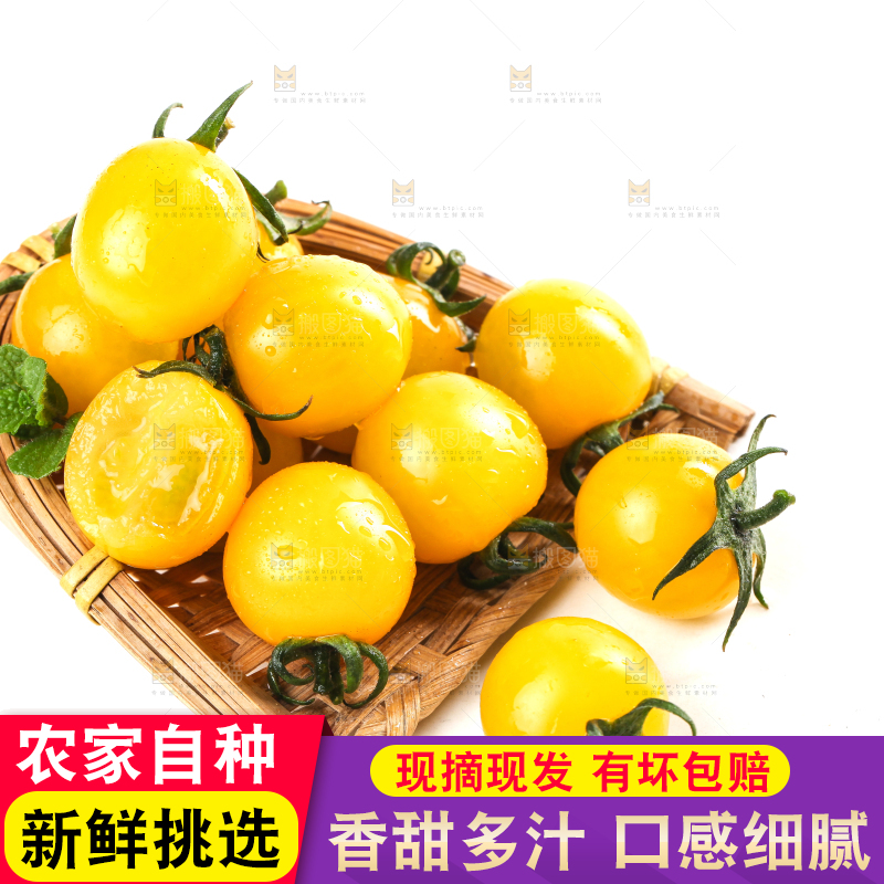 白底上的黄金小番茄