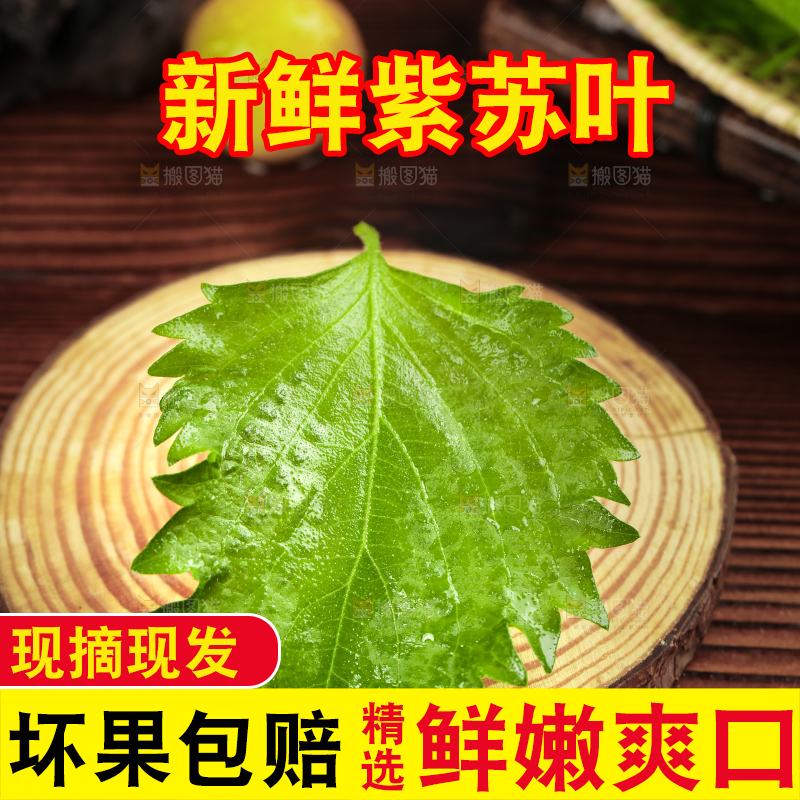 木板上的青紫苏叶