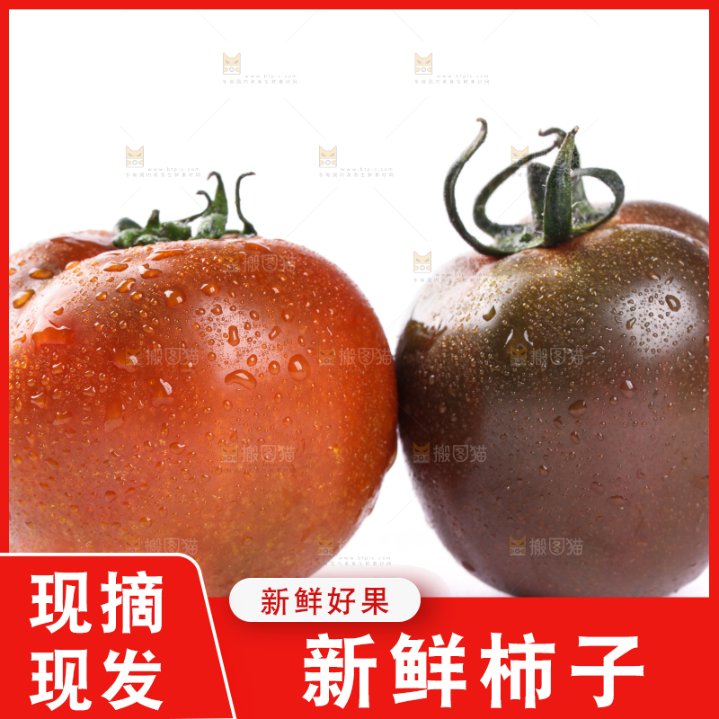 白底上的丹东铁皮柿子