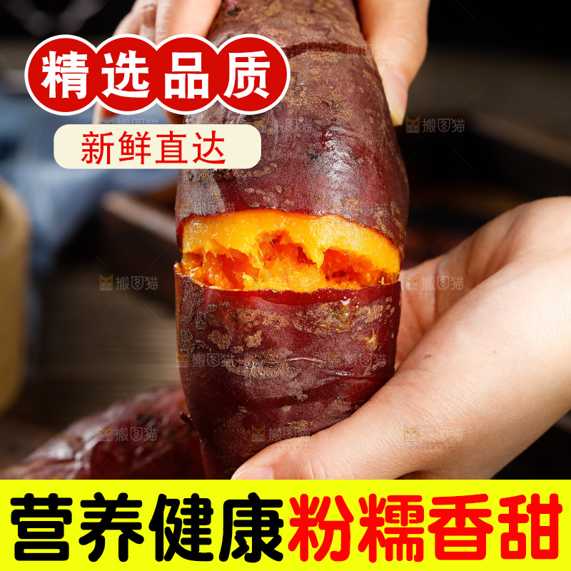深底上的福建六鳌蜜薯