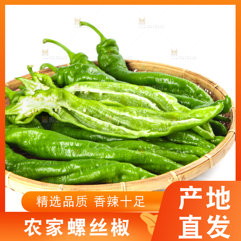 篮子里装着陕西螺丝椒