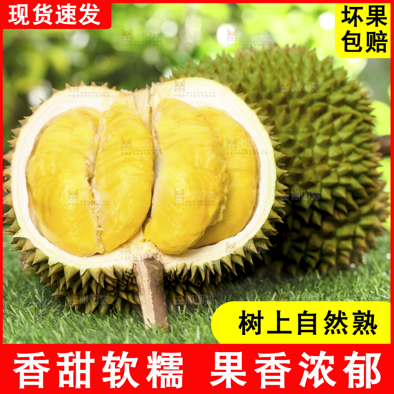 草地上摆放着甲仑榴莲