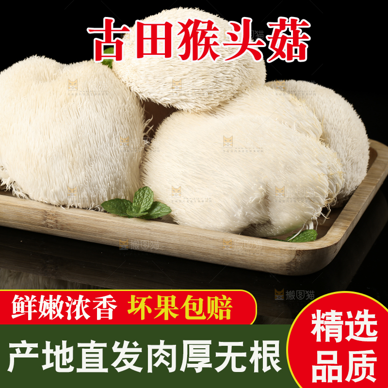 盘子里装着新鲜猴头菇