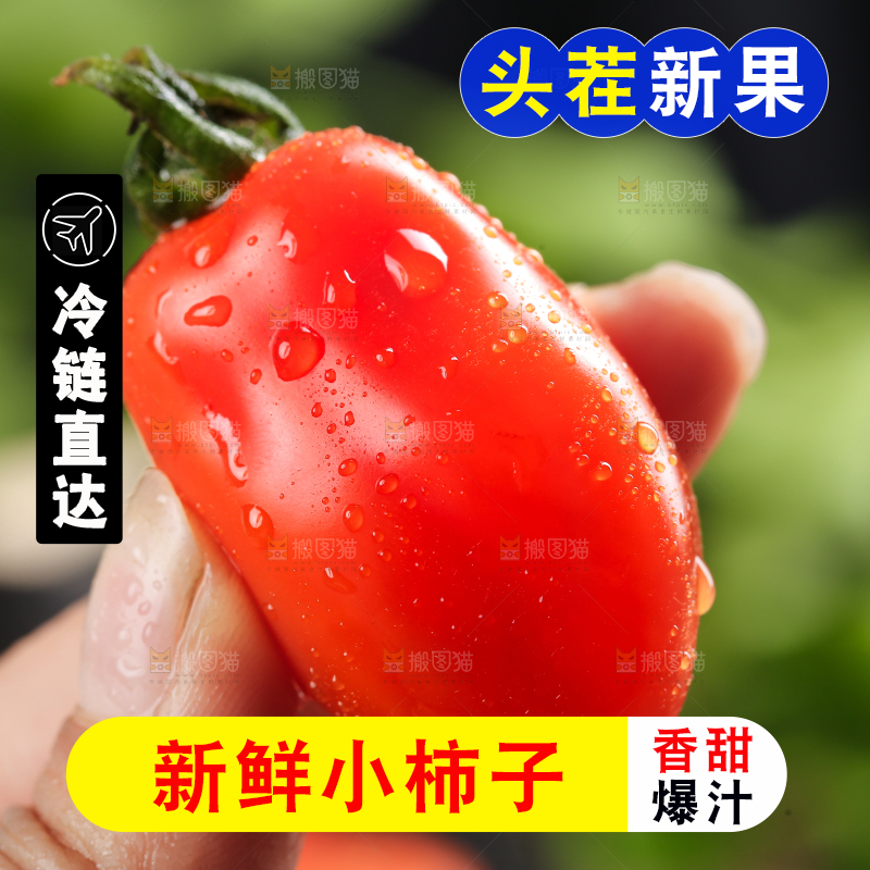 手里拿着丹东409小柿子