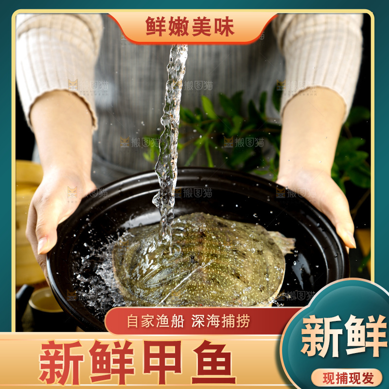 盆子里装着中华鳖