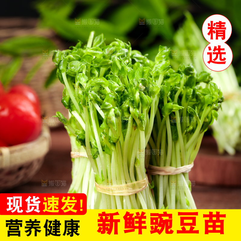 黑石板上的豌豆芽苗菜