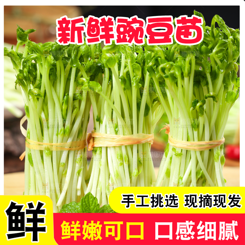 木板上放着豌豆芽