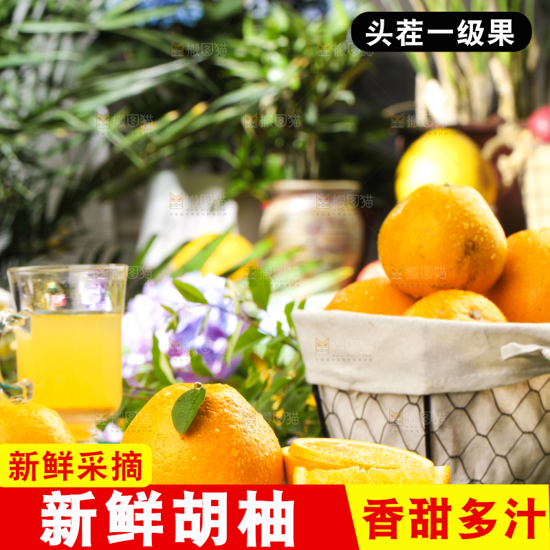 蓝底上放着一盘高山胡柚