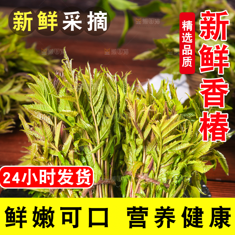 黑石板放着新鲜红香椿