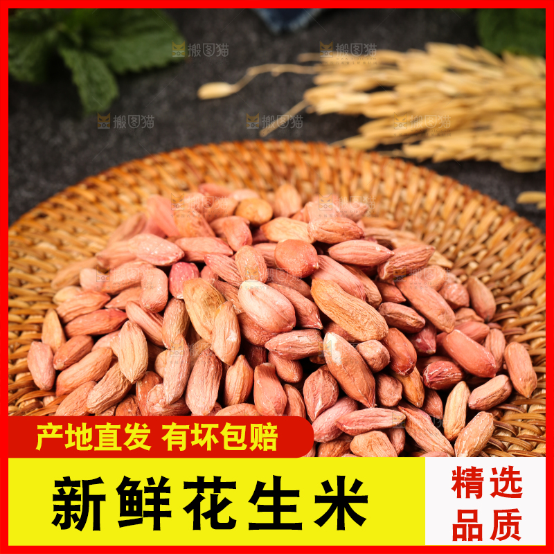 竹底上的山东小瘪子花生米