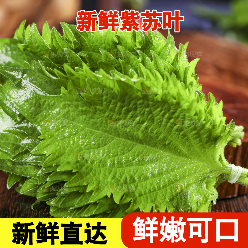 木底上的新鲜紫苏叶