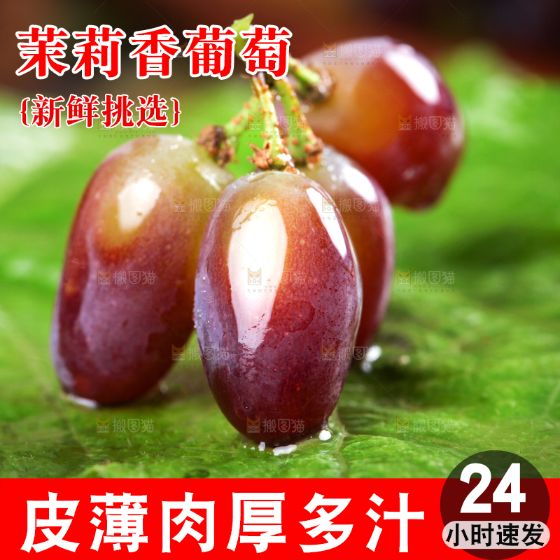 叶子上放着茉莉香葡萄