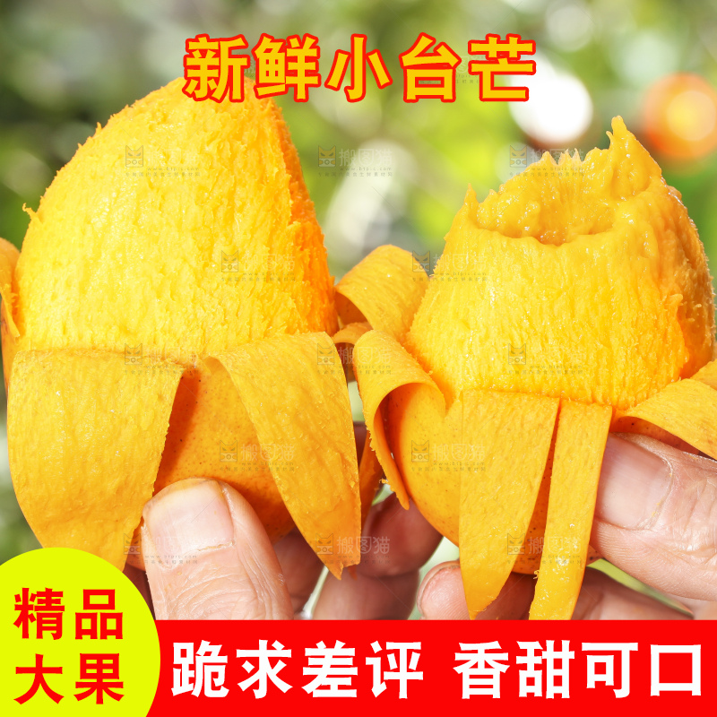 手拿剥皮的海南小台农芒果