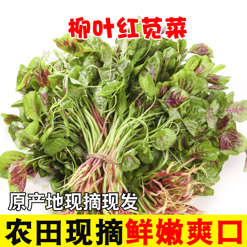 白底上的红苋菜