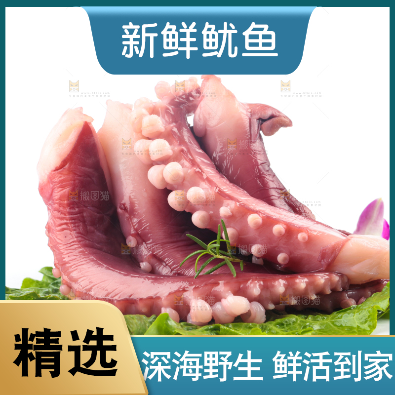 叶子上放着鲜鱿鱼
