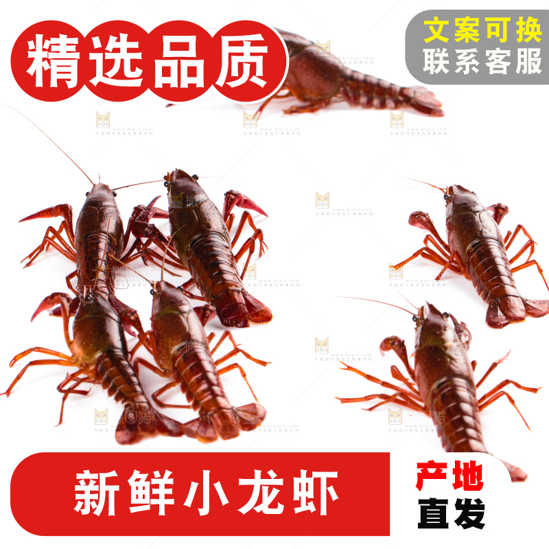白底上放着潜江小龙虾