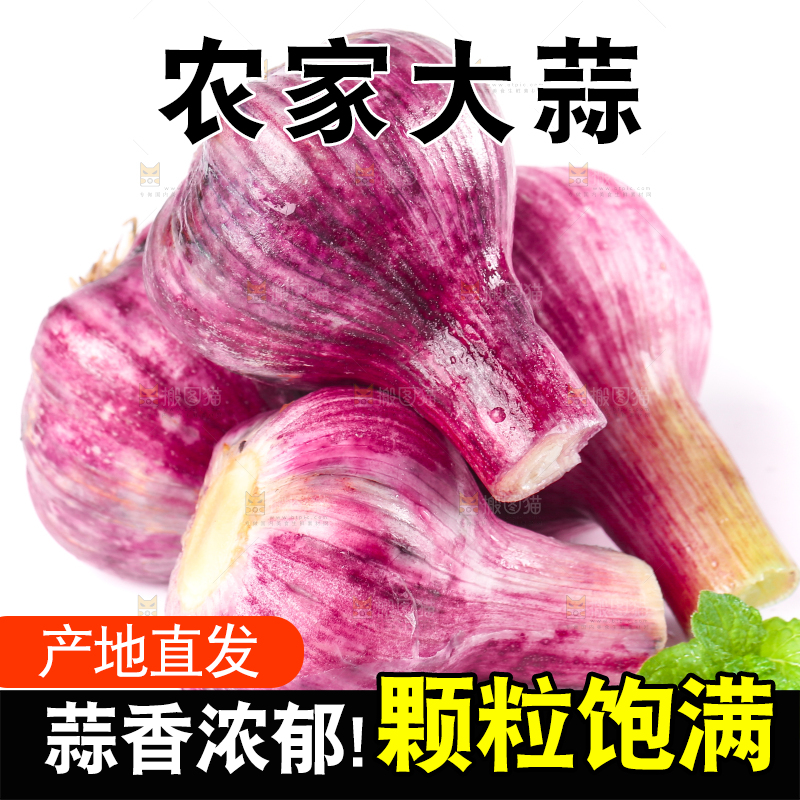 白底上放着紫皮大蒜