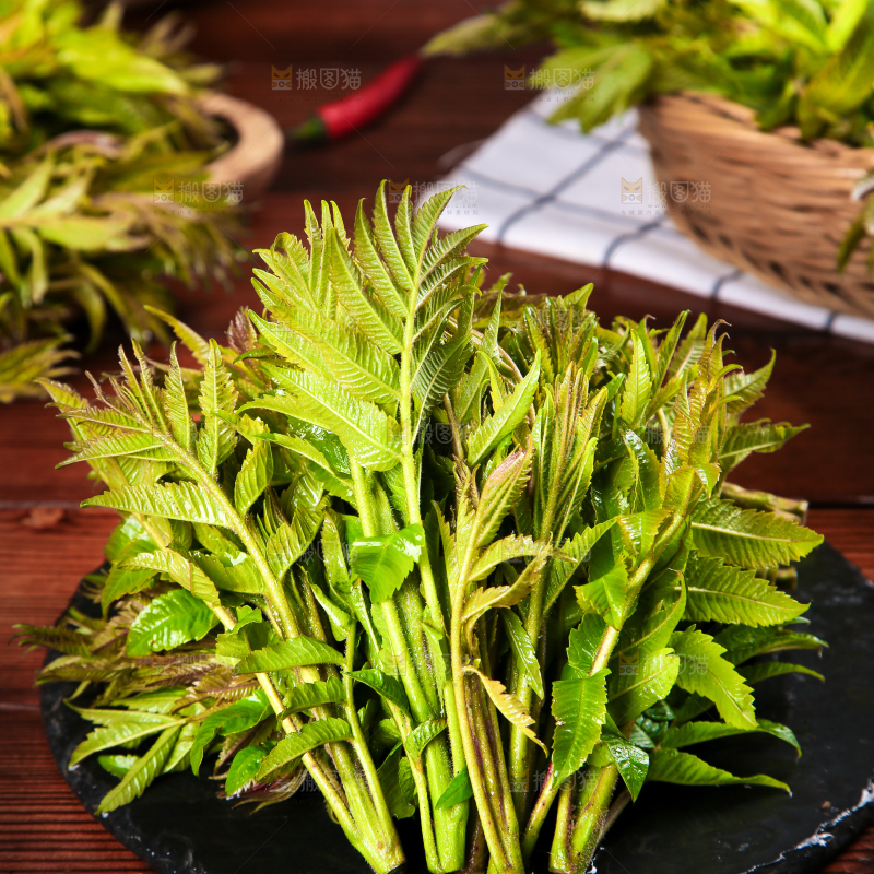 黑石板上的香椿芽