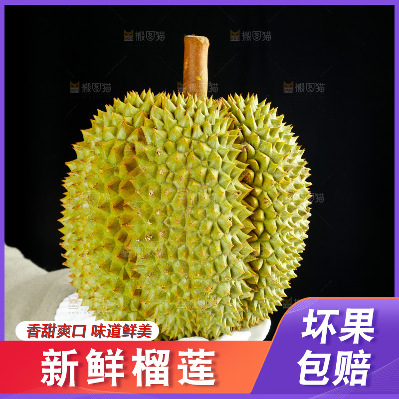 农民手里拿着泰国甲仑榴莲