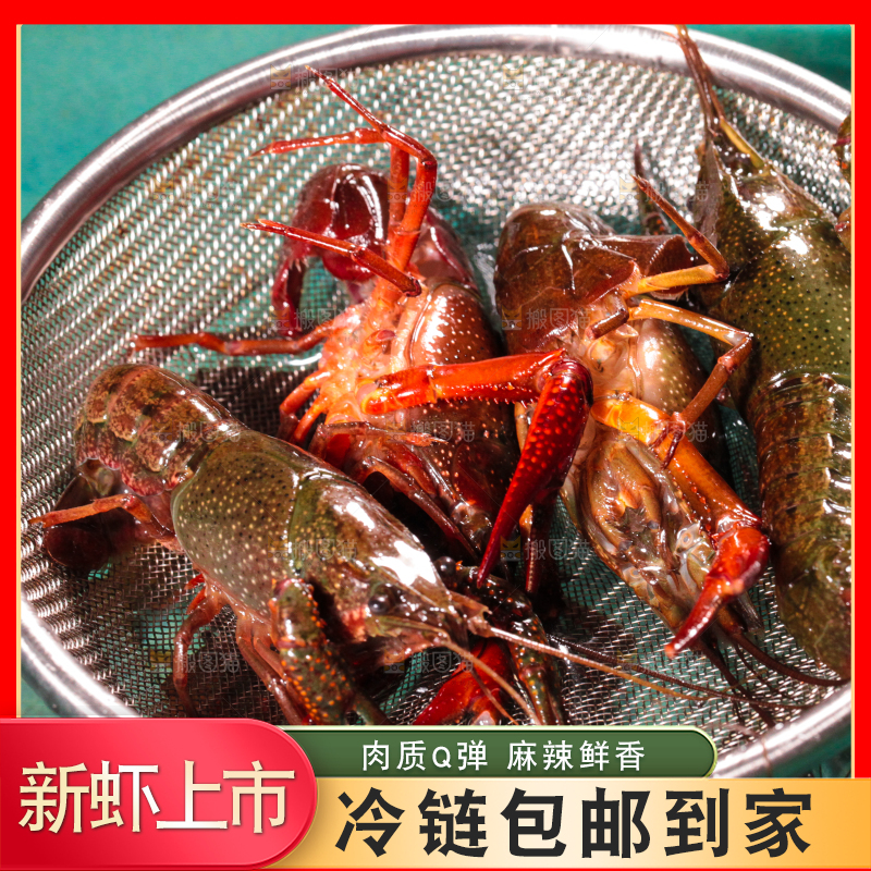 盆子里装着小龙虾