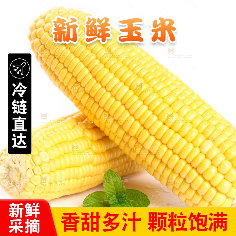 白底上放着黄玉米