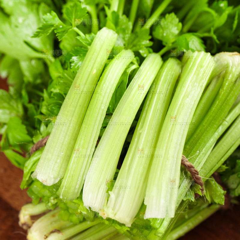 深底上的青岛新鲜芹菜