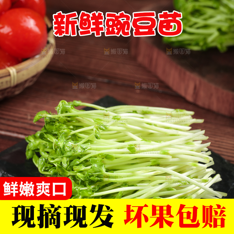 黑石板上的豌豆芽苗菜
