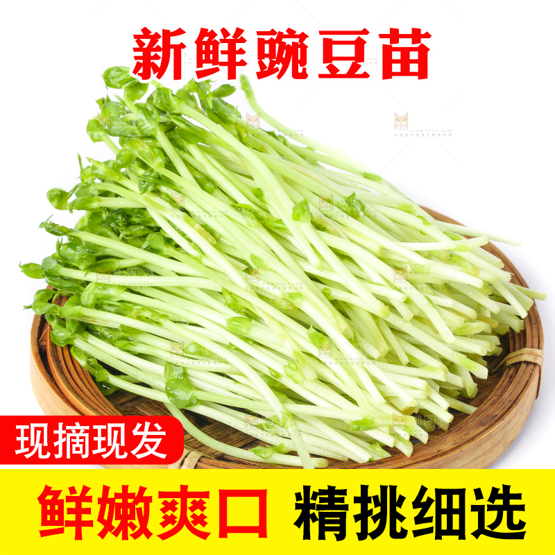 盘子里装着新鲜豌豆芽