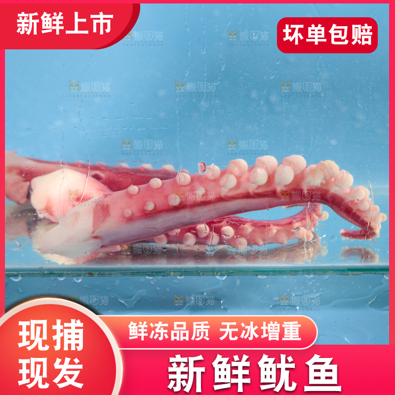 水里放着鱿鱼须