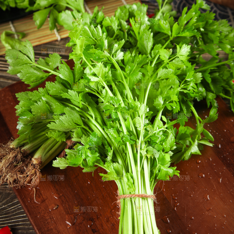 手拿新鲜芹菜