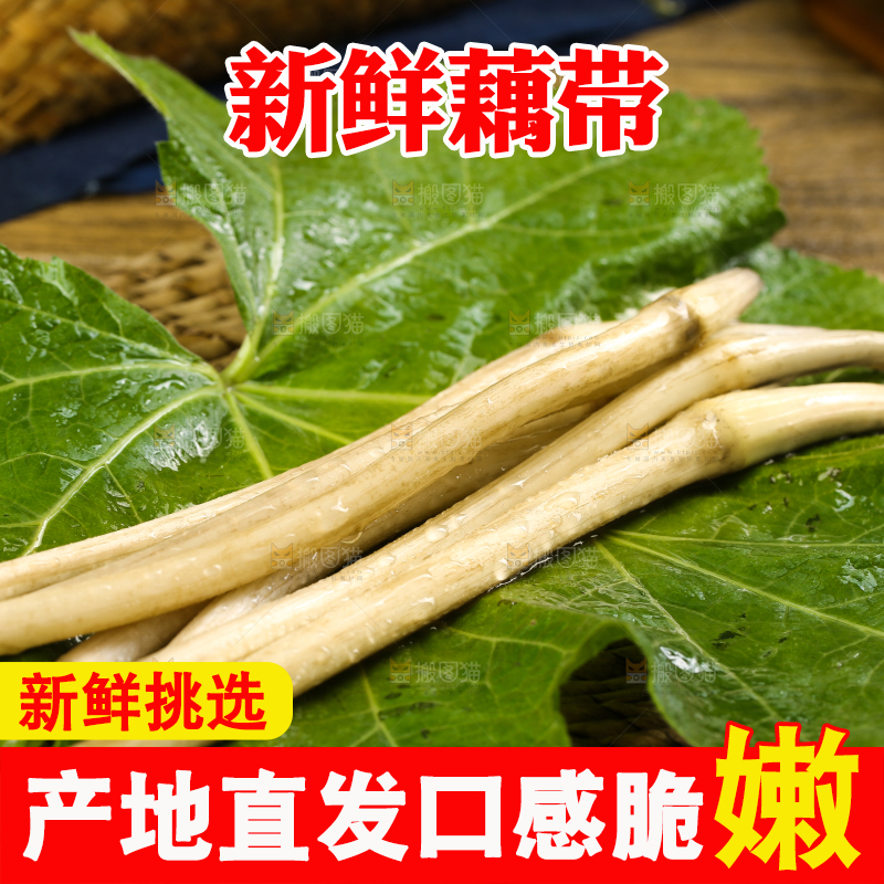 荷叶上放着洪湖藕带