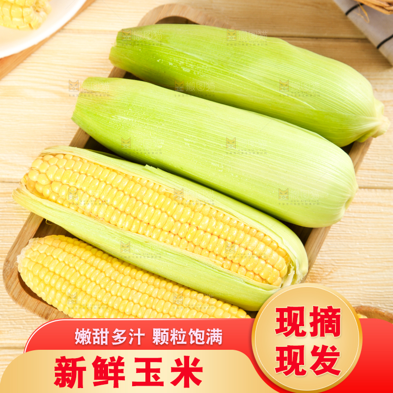 盘子里装着东北玉米
