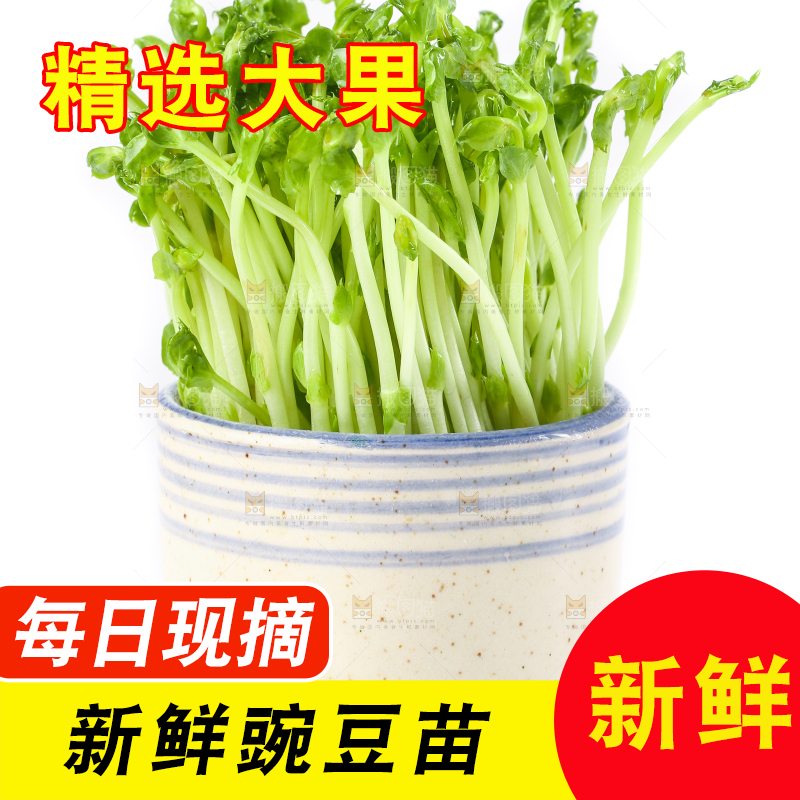白底上放着豌豆芽菜