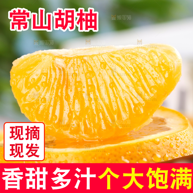 黑石板上的常山胡柚