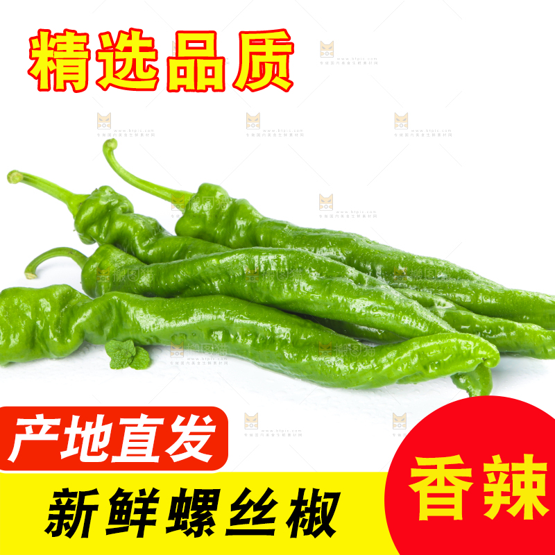 白底上摆放着青螺丝椒