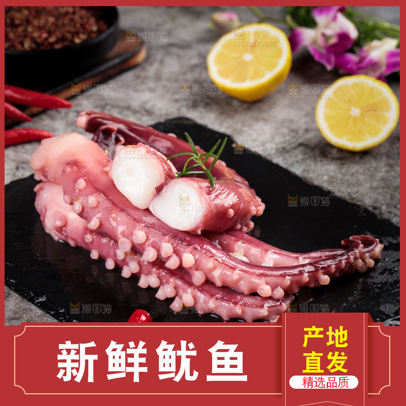 黑石板上的大鱿鱼