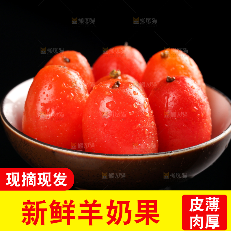黑底上放着一碗胡颓果