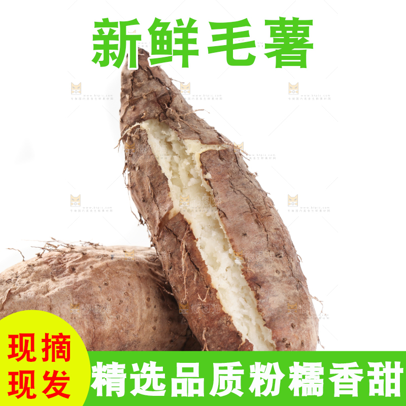 白底上的毛薯