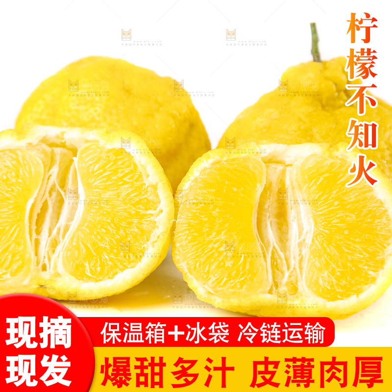 白底上放着四川柠檬不知火
