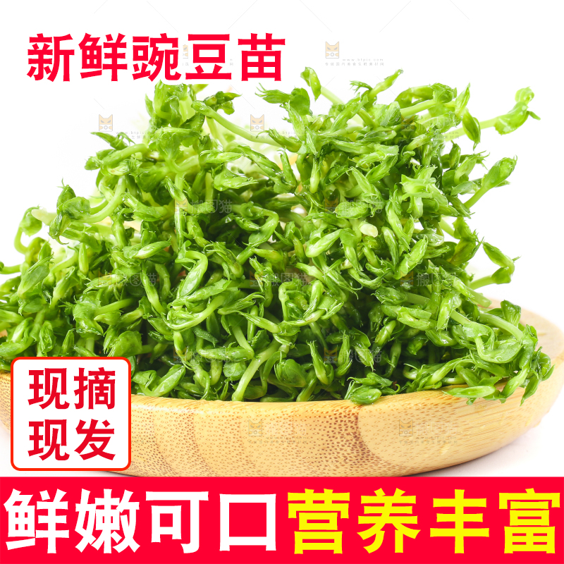 盘子里装着豌豆芽菜