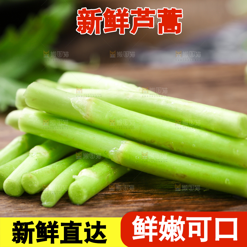 木底上的江西藜蒿