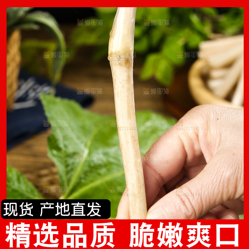 手里拿着新鲜藕带