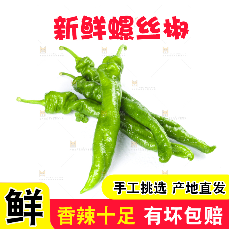 白底上摆放着青螺丝椒