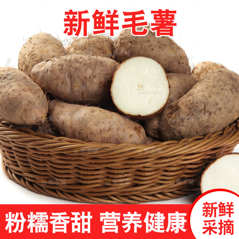 一筐广东毛薯放在白底上