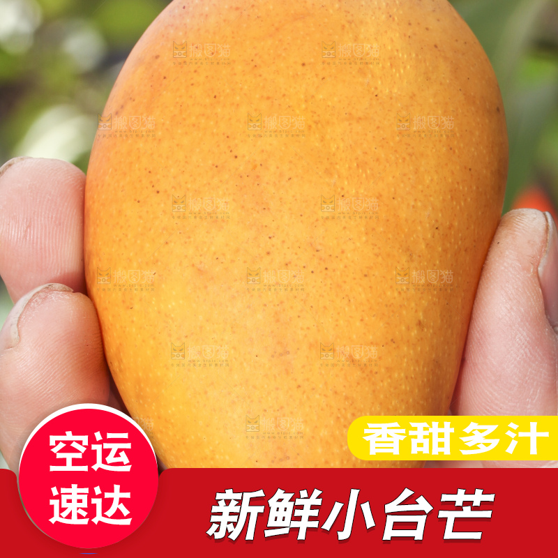 手拿新鲜的小台芒