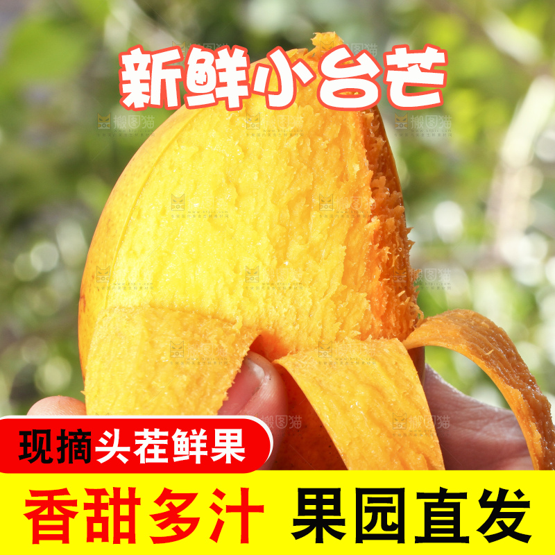 手拿剥皮的小台农芒