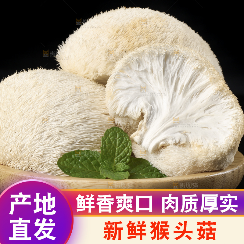 盘子里装着新鲜猴头菇