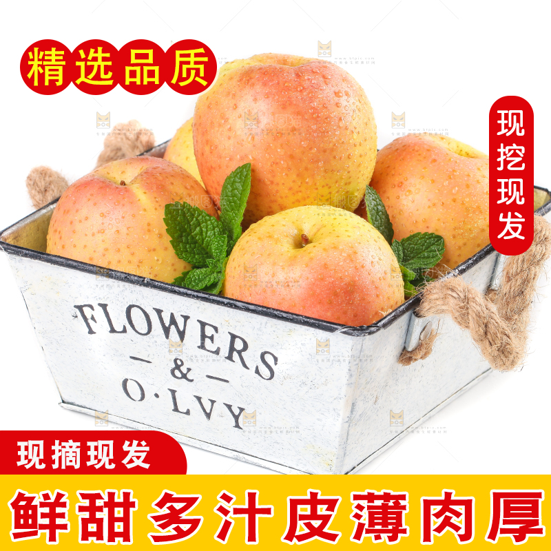 篮子里的雀斑美人苹果